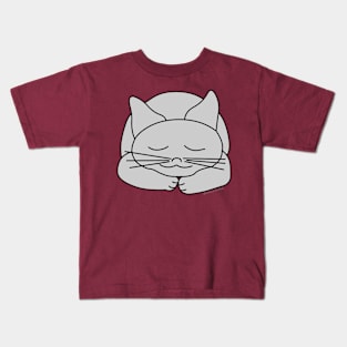 Sleeping Gray Cat Kids T-Shirt